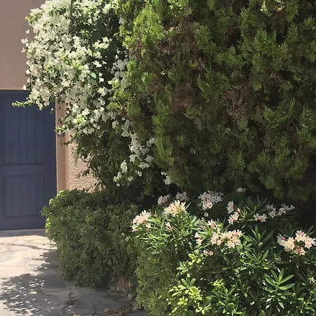 Limnaria Kato - Wonderful Near The And Facilities