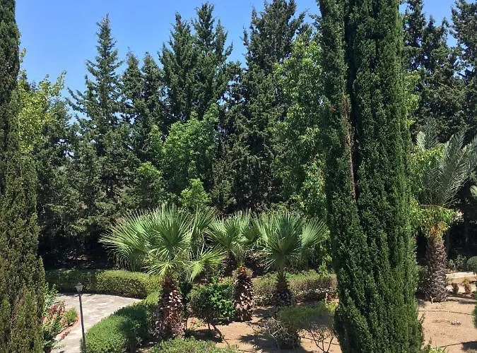 Feriehus Limnaria Kato - Wonderful Near The And Facilities Paphos