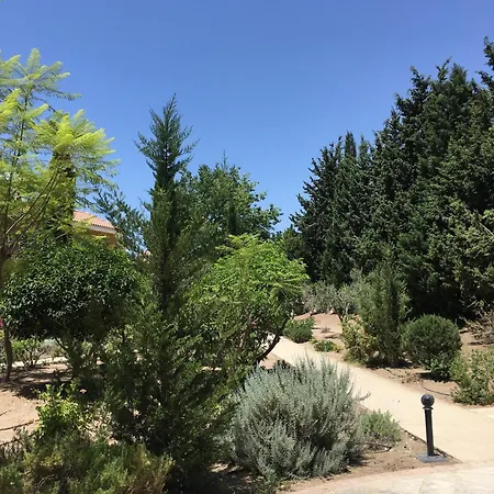 Limnaria Kato - Wonderful Near The And Facilities Tatil Evi Pafos